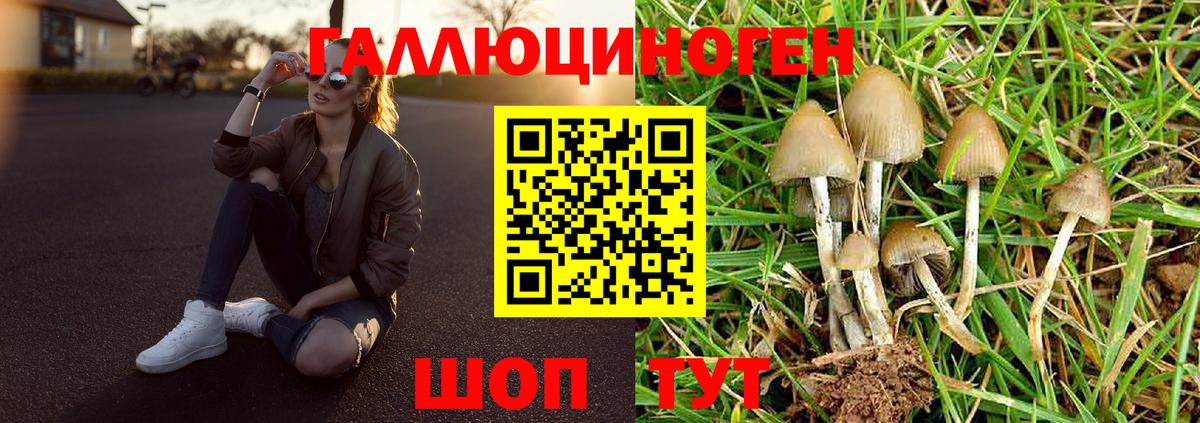 Галлюциногенные грибы Magic Shrooms  Вход с VPN  Галлюциногенные грибы Psilocybine cubensis  Лениногорск 